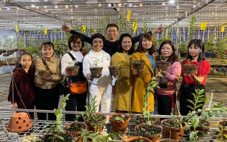 Nghệ nhân Nguyễn Phương Hồng chia sẻ Kỹ thuật trồng và chăm sóc lan Phi điệp nở hoa đẹp